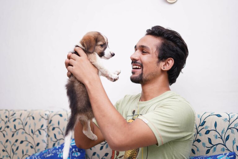 dog food blog